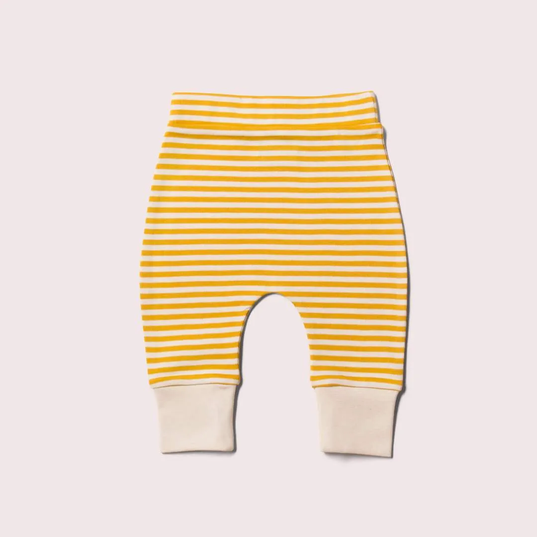 Gold Stripe Wriggle Bottoms