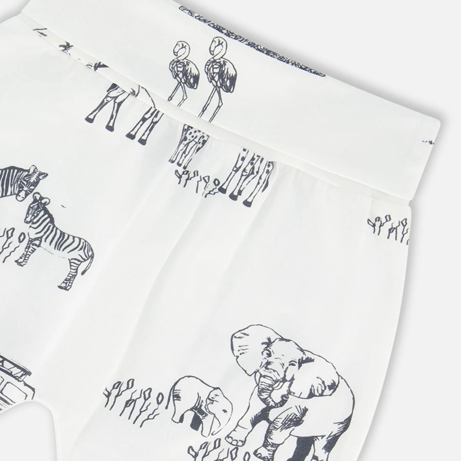 Organic Cotton Long Sleeve Top   Evolutive Pant Set, Big Jungle World