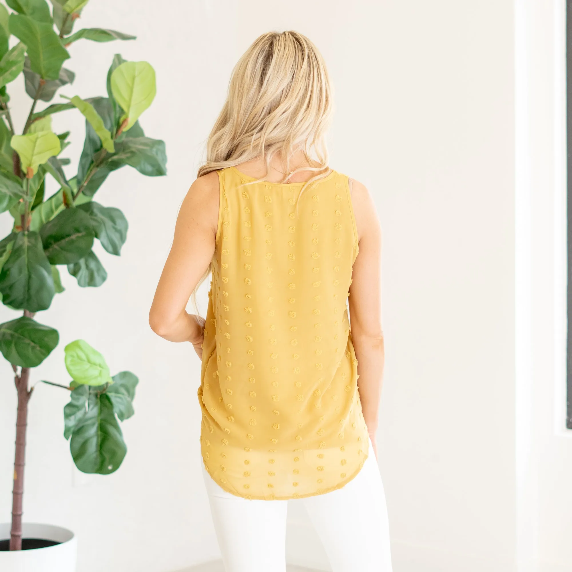 Swiss dot sleeveless round neck & round hem top